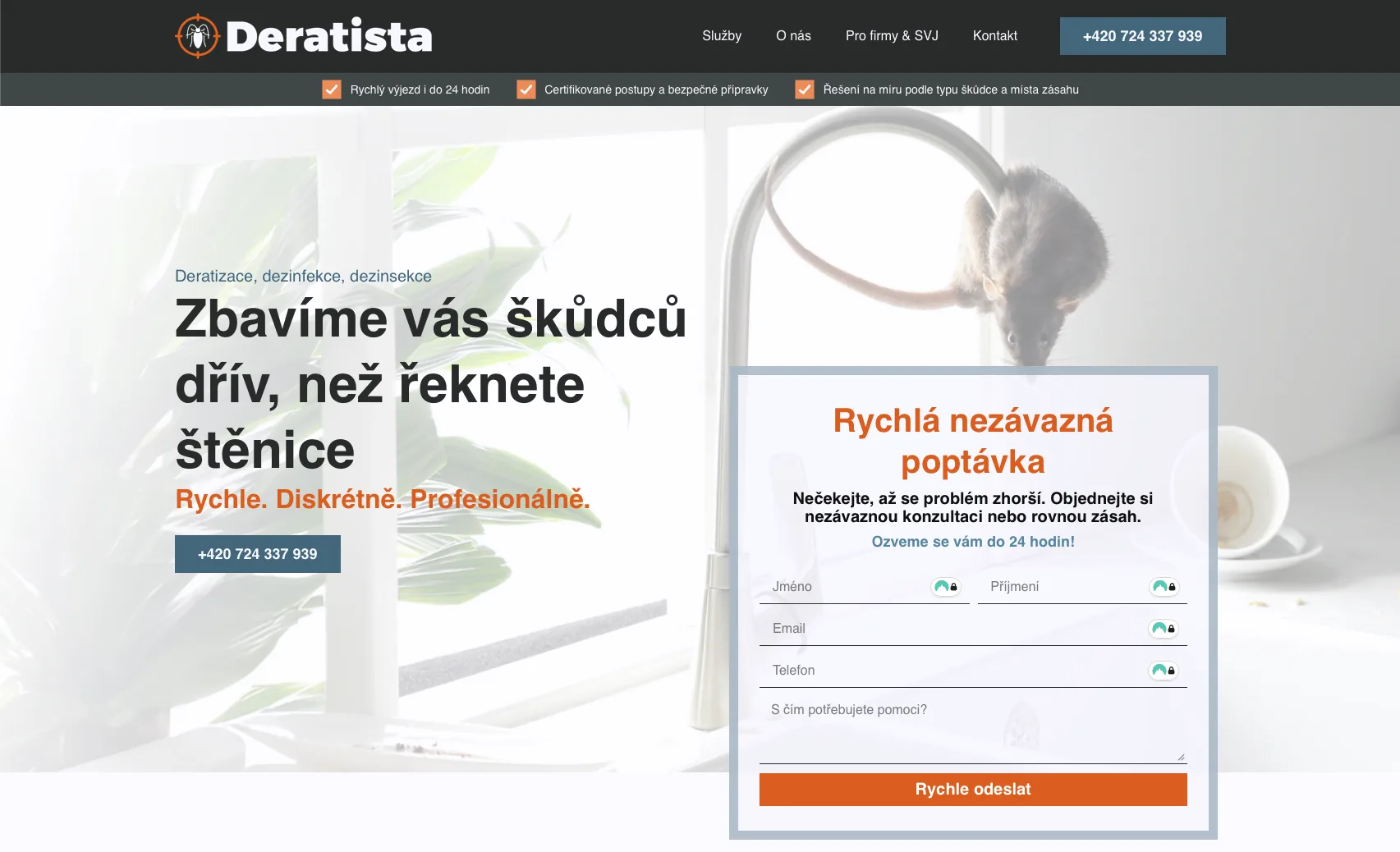 Ukázka webu od Kippis